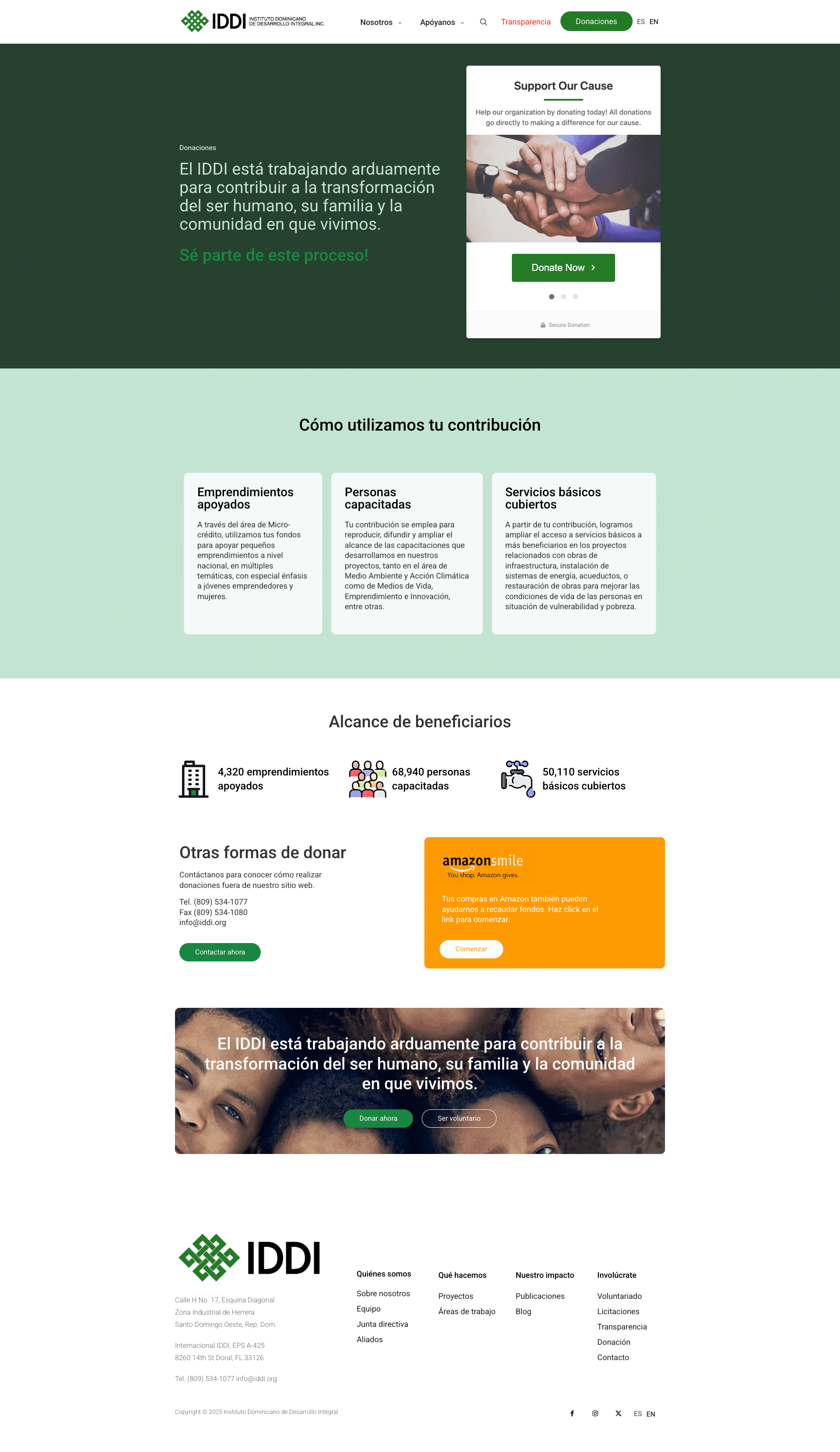 Donaciones de IDDI — diseño web por TAKUM