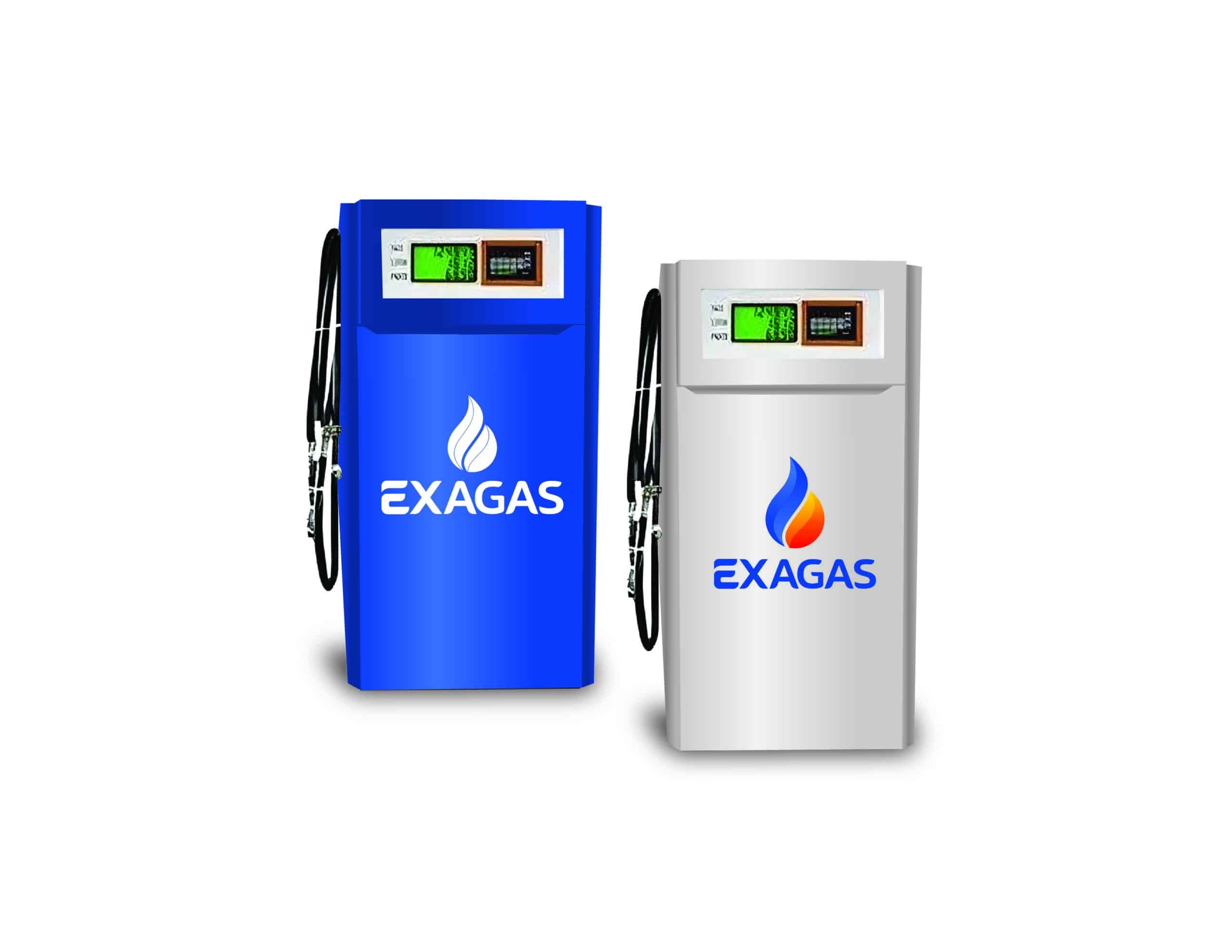 Sistema visual de EXAGAS — pieza 5 del branding por TAKUM