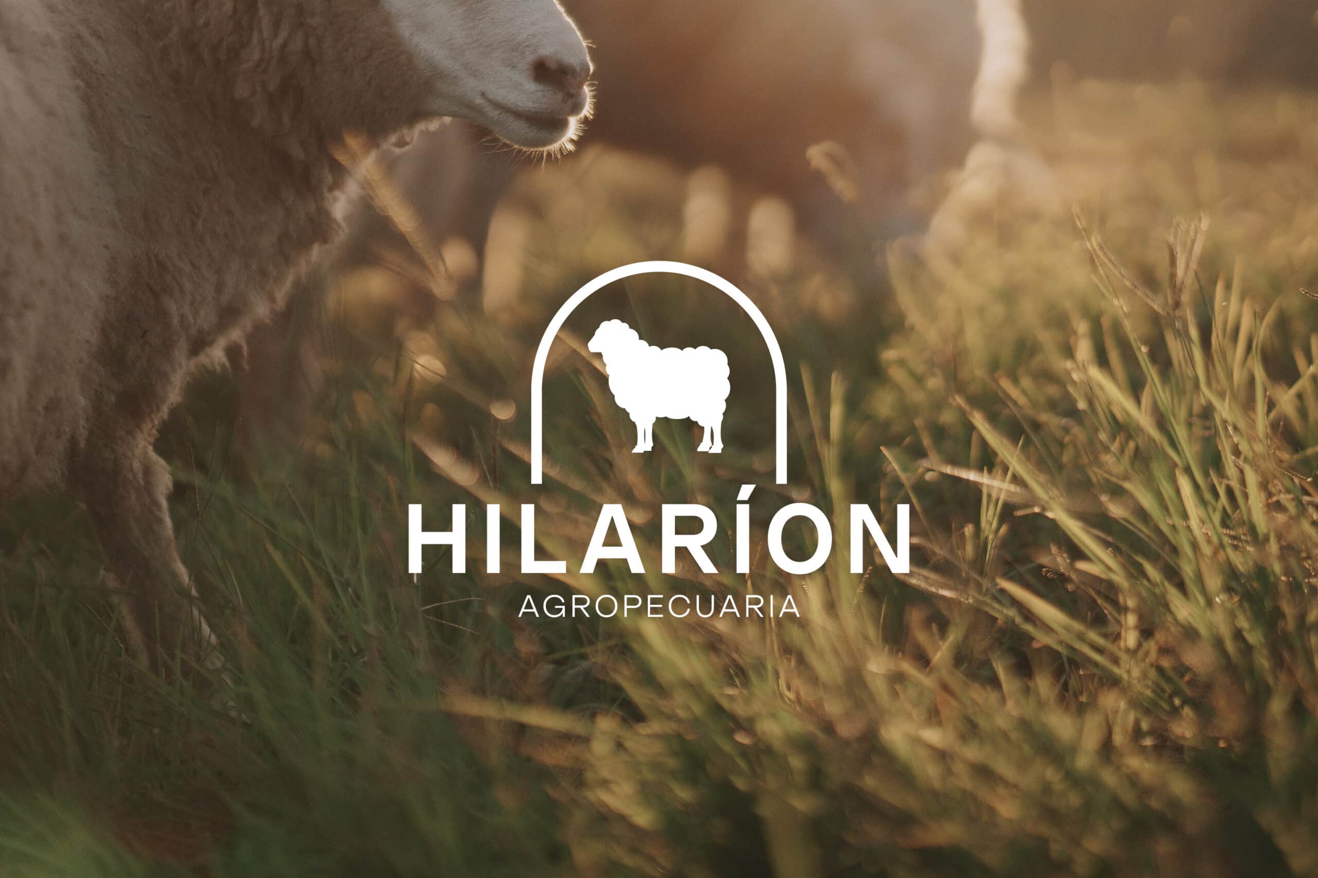 Sistema visual de Hilarión Agropecuaria Branding — pieza 1 del branding por TAKUM