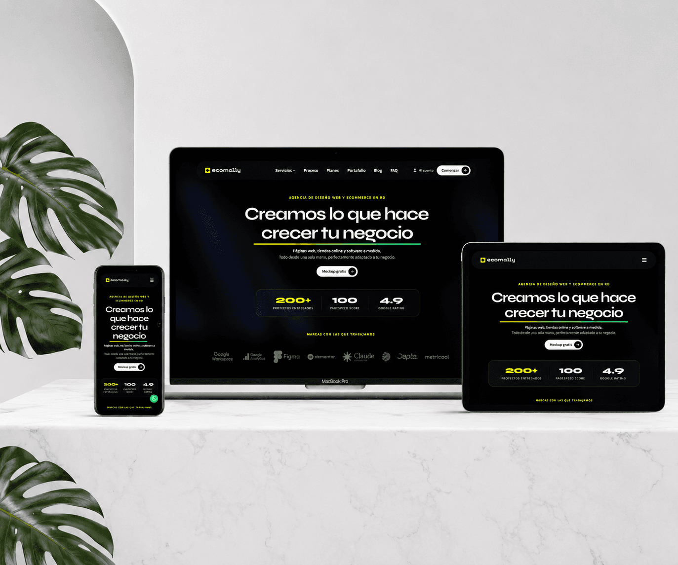 Aplicación de marca de Ecomally — mockup por TAKUM