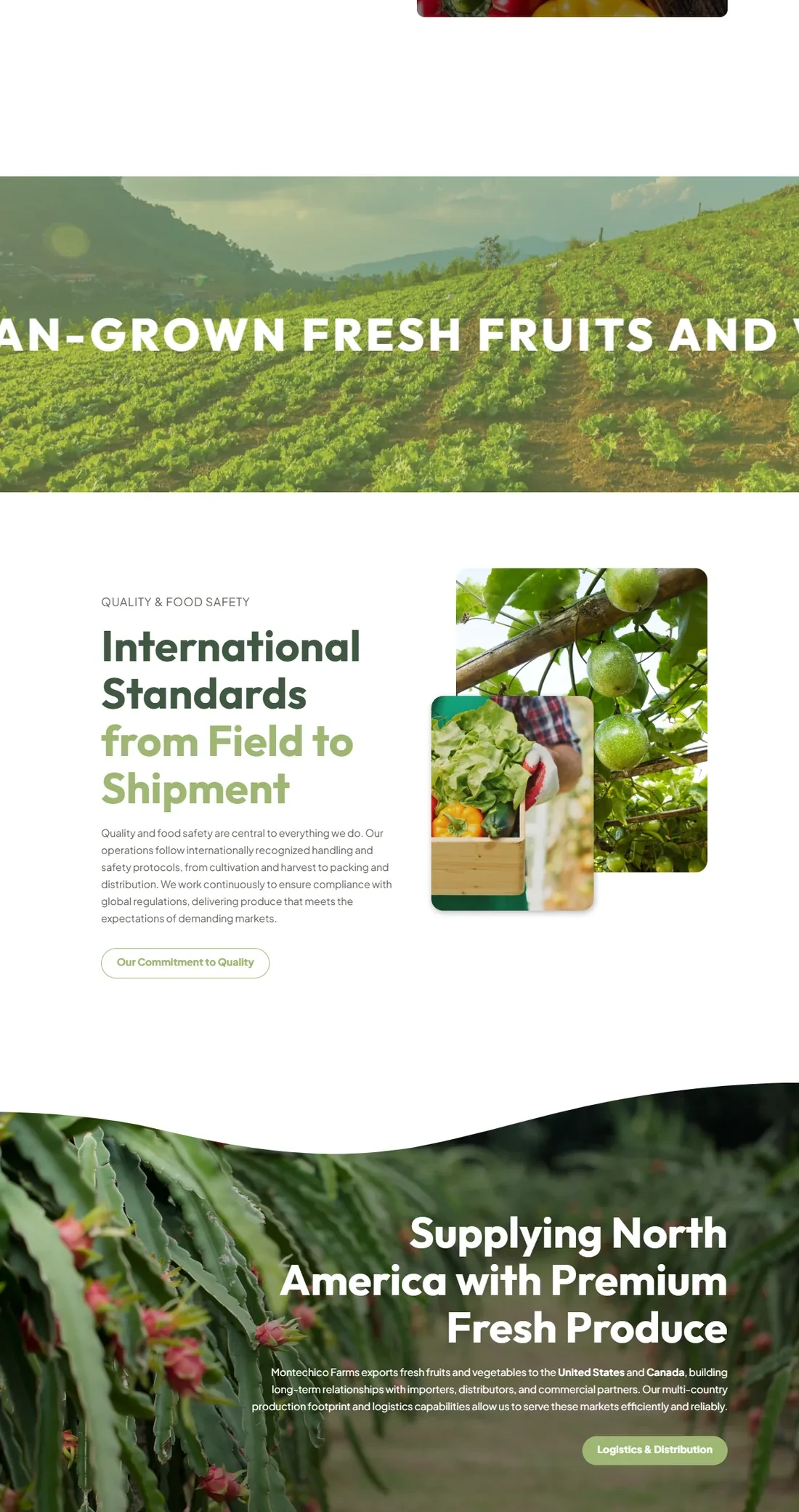 Página principal de Montechico Farms — diseño web por TAKUM (parte 2)